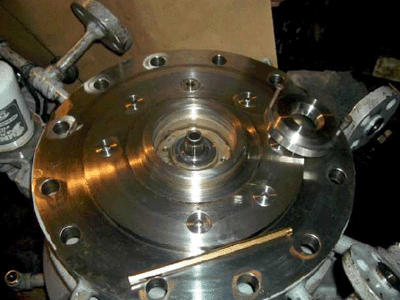 Liquid ammonia pump LMV-341Z